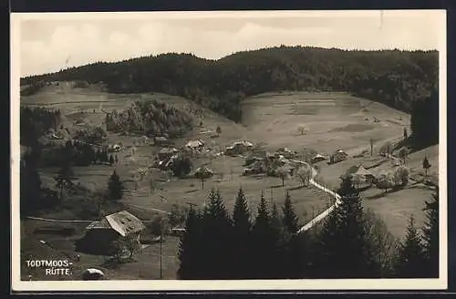 AK Todtmoos-Rütte, Panorama mit Strassenpartie