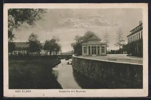 AK Bad Eilsen, Auepartie mit Brunnen