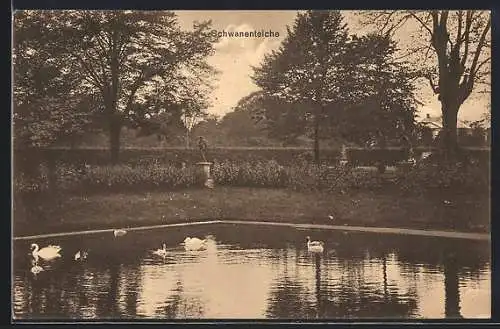 AK Hannover-Herrenhausen, Grosser Garten mit Schwanenteich