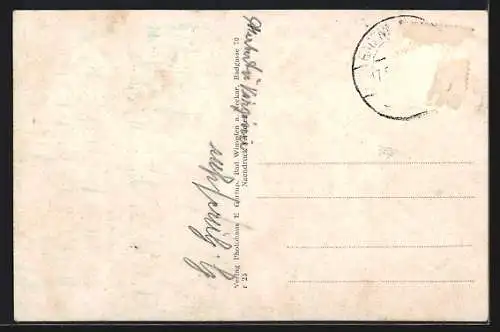 AK Wimpfen i. Tal, Teilansicht, Im Hintergrund Jagstfeld a. Neckar