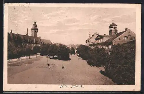 AK Zeitz, Altmarkt mit Bäumen