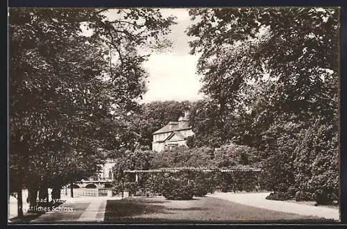 AK Bad Pyrmont, Fürstliches Schloss