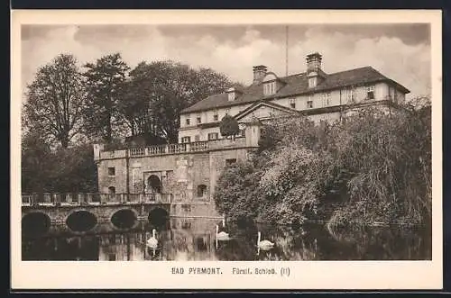AK Bad Pyrmont, Fürstl. Schloss vom Wasser aus