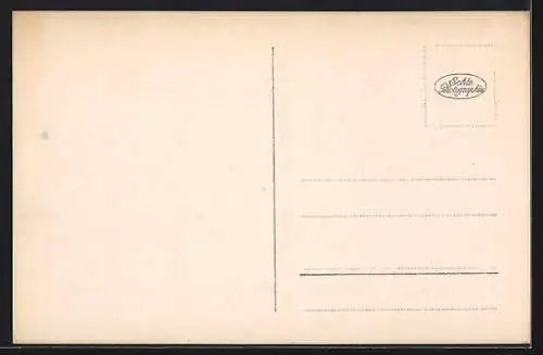 AK Hildesheim, Rathaus und Brunnen auf dem Vorplatz