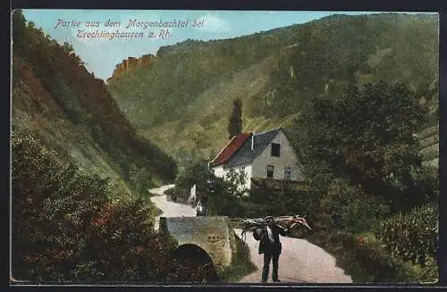 AK Trechtingshausen a. Rh., Idyll im Morgenbachtal