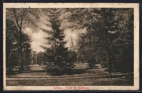 AK Cottbus, Partie im Stadtpark