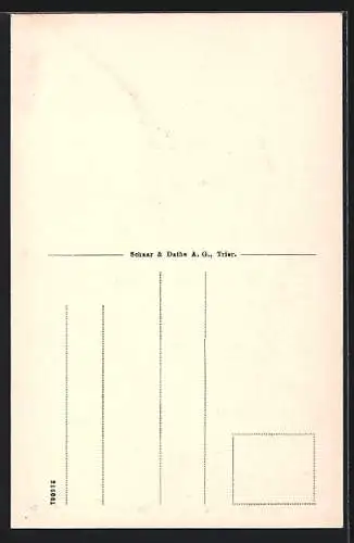 AK Alf-Bullay, Marienburg, Kirchenschiff, Innenansicht von oben