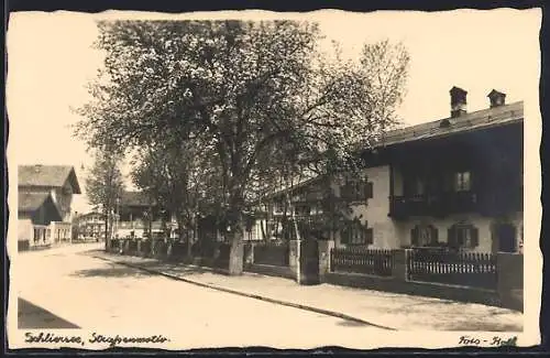 AK Schliersee, Strassenpartie mit Bäumen