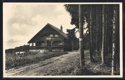 Foto-AK Königsfeld i. Schwarzwald, Ansicht vom Kaffee Albblick