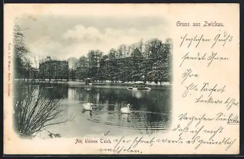 AK Zwickau, Am kleinen Teich