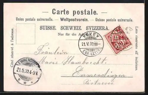 AK Clarens, Vue générale et Vevey