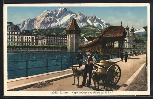 AK Luzern, Kapellbrücke und Pilatus, Mann mit Hundegespann