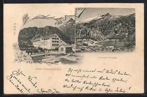 AK Grimsel, Hotel Grimsel-Hospiz, Panorama