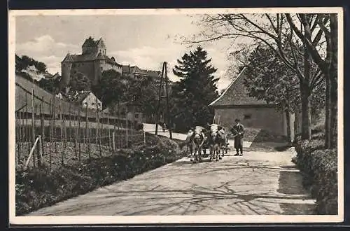 AK Meersburg am Bodensee, Strassenpartie mit Schloss