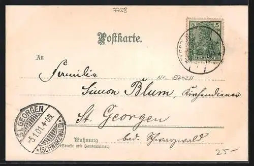 Lithographie Meersburg, Bodenseepartie mit Blick zum Ort