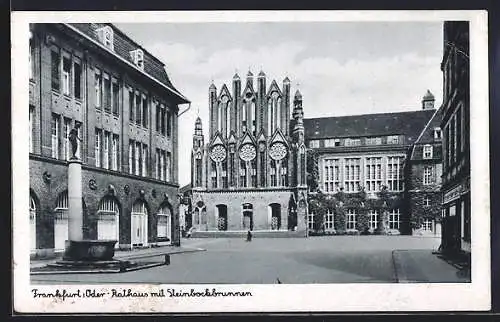 AK Frankfurt /Oder, Rathaus mit Steinbockbrunnen