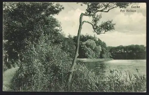 AK Lanke, Am Hellsee