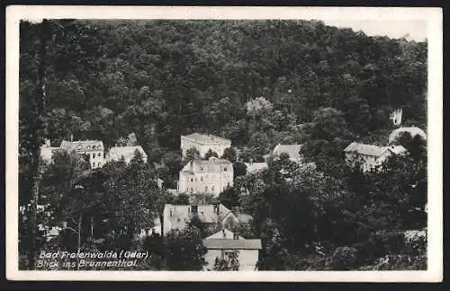 AK Bad Freienwalde /Oder, Blick ins Brunnenthal