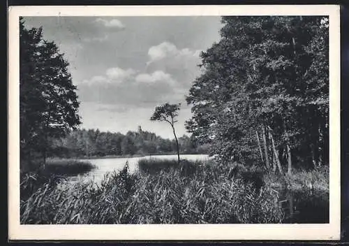 AK Waldsieversdorf /Märk. Höhenland, Am Däbersee