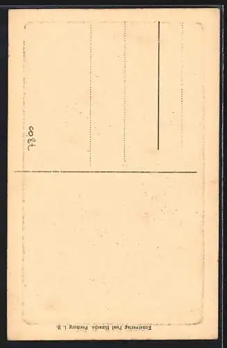 AK Freiburg i. B., Münster mit Strassenpartie