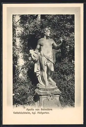 AK Veitshöchheim, Königlicher Hofgarten, Apollo von Belvedere