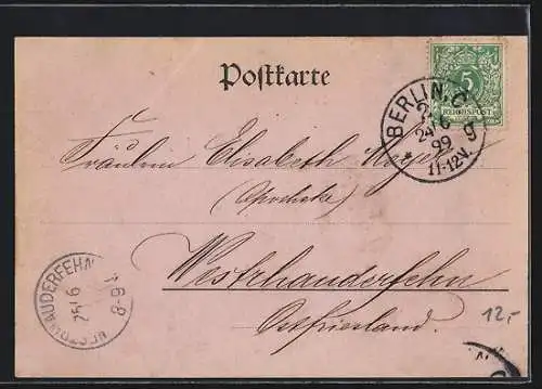 AK Berlin, Blick zum Museum