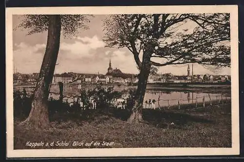 AK Kappeln / Schlei, Blick auf die Stadt