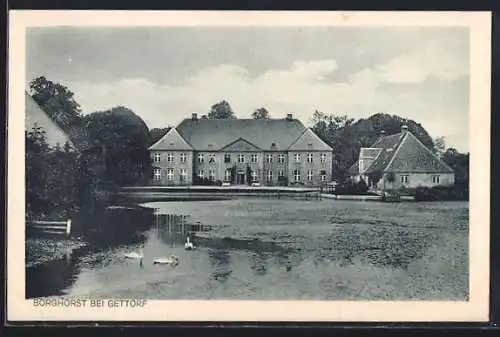 AK Osdorf / Gettorf, Herrenhaus Borghorst, Schwäne