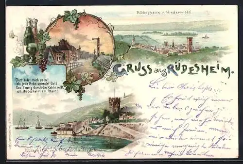 Lithographie Rüdesheim / Rhein, Ortsansicht vom Niederwald gesehen, Uferpartie mit Blick zum Niederwald-Denkmal