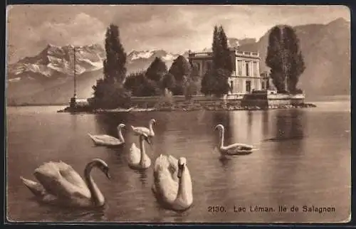 AK Montreux, Ile de Salagnon et Lac Léman