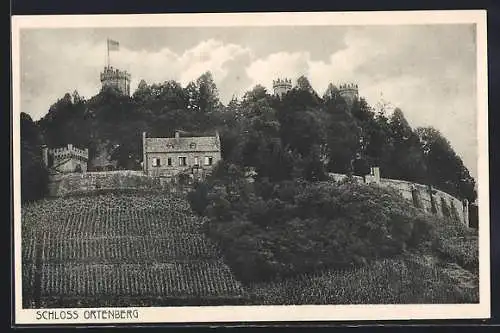 AK Ortenberg / Baden, Blick auf das Schloss