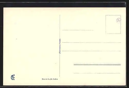 AK Buchs /SG, Totalansicht vom Berg aus