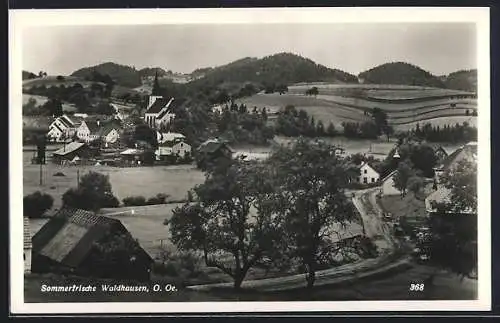 AK Waldhausen /O. Oe., Totalansicht in den Bergen