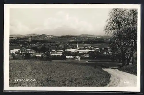 AK Katsdorf /O.Ö., Wegpartie mit Blick auf die Ortschaft