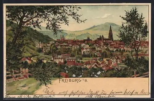 Lithographie Freiburg / Breisgau, Panoramaansicht