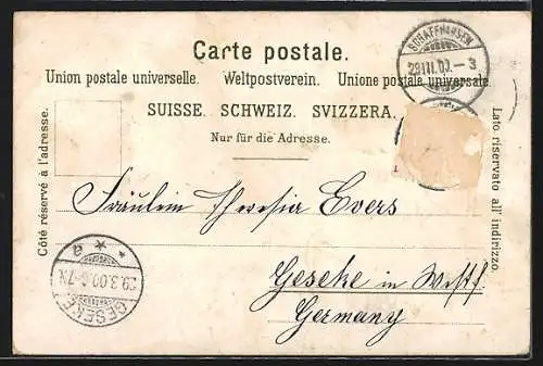 Lithographie Rheinfall, Suchbild: Wo erscheint die Nixe?