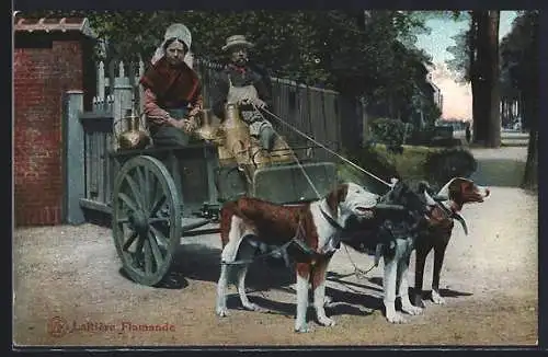 AK Laitieres Flamande, Paar in Tracht, Hundegespann