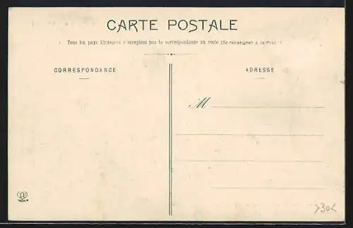 AK Les Pyrenees, Attelage de Boefs Pyreneens, Rindergespann