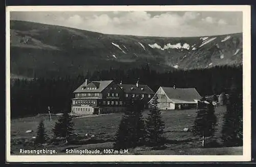 AK Riesengebirge, Schlingelbaude