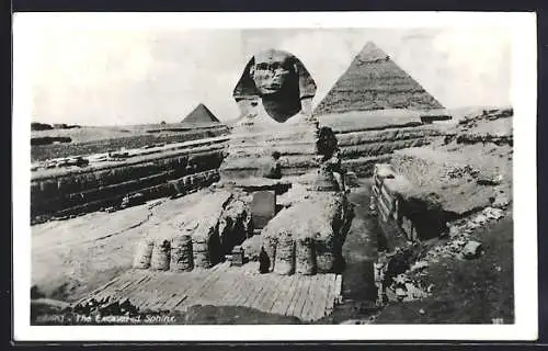 AK Gizeh, The Excavated Sphinx