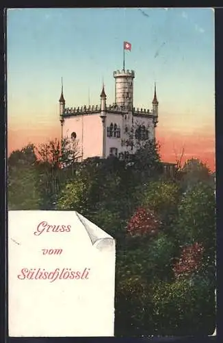 AK Olten, Blick zum Sälischlössli