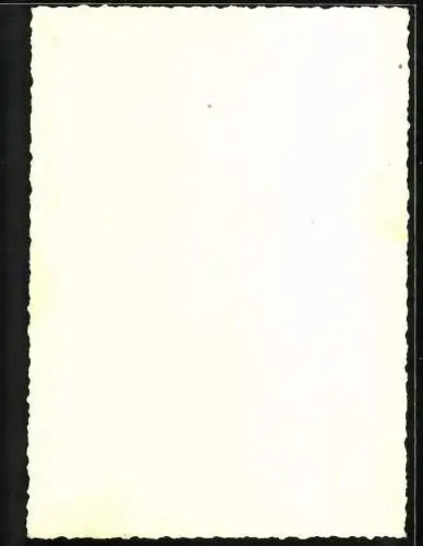 Fotografie unbekannter Fotograf und Ort, Offizier des schweizer Militär in Uniform