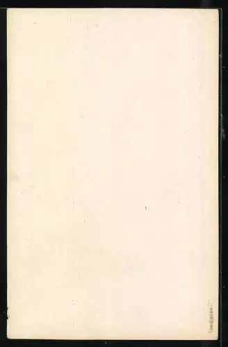 Fotografie C. Hertel, Mainz, Ansicht Frankfurt a. M., Markt mit Geschäften