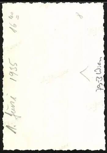 Fotografie unbekannter Fotograf, Ansicht Wien, Spezerei und Delikatessen Geschäft Wilhelm Wallner