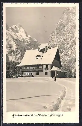 AK Hinterstoder, Pension Dietlgut mit Bergspitze im Winter