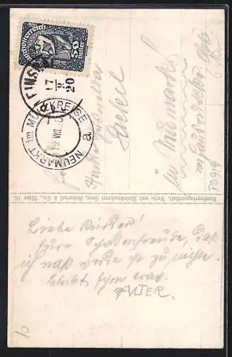 Künstler-AK Sarleinsbach, Ameisbergwarte L. Wittmann mit näherer Umgebung