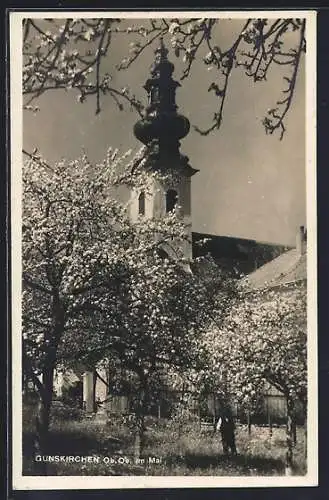 AK Gunskirchen, Kirche mit blühenden Bäumen