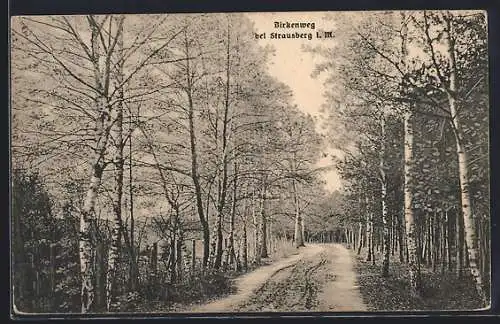 AK Strausberg i. M., Ein Birkenweg