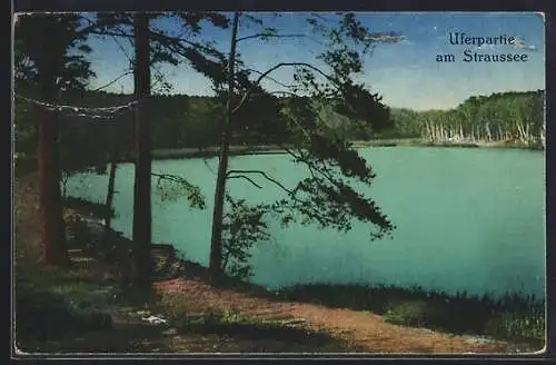 AK Strausberg /Mark, Uferpartie am Straussee