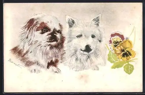 AK Pekinese u. Spitz mit Stiefmütterchen